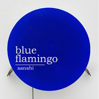 Blue Flamingo X 30COVERS