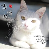 春夏秋冬