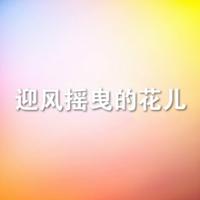 迎风摇曳的花儿