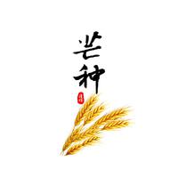 芒种