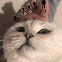 来不及