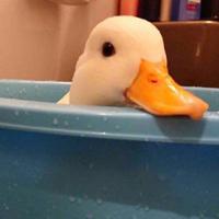 形容
