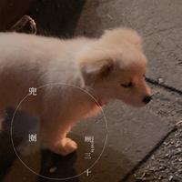 兜圈