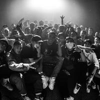 大雁一般飞翔（Live）