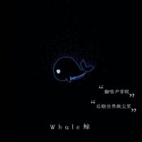 我生而为鲸，死而为寂——《Whale 鲸》