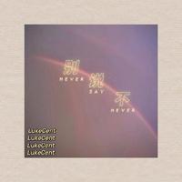 NEVER SAY NEVER