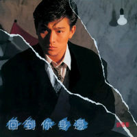 回到你身边
