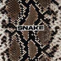 Snake (中文填词版)