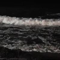 就忘了吧 抖音版