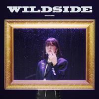 WILDSIDE (中文填词版)