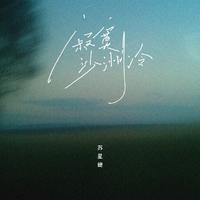 寂寞沙洲冷