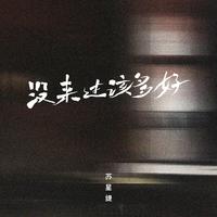 没来过该多好 (DJAh版)