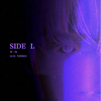 SIDE L 不太一样