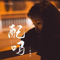配吗 (DJ志鹏版)