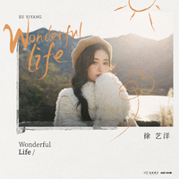 Wonderful Life