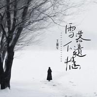 雪落下遗憾