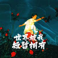 世界被我短暂拥有