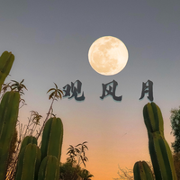 观风月