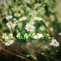 花飞花落花满天